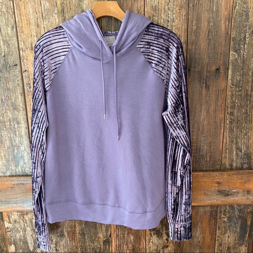 Calia, L, Purple, Velvet, Hoodie, Jacket